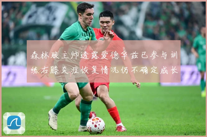 森林狼主帅透露爱德华兹已参与训练右膝炎症恢复情况仍不确定成长观察-深度解析