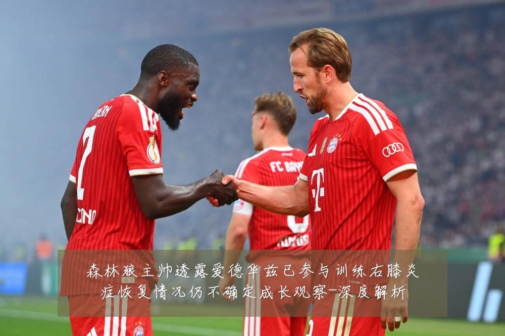 森林狼主帅透露爱德华兹已参与训练右膝炎症恢复情况仍不确定成长观察-深度解析