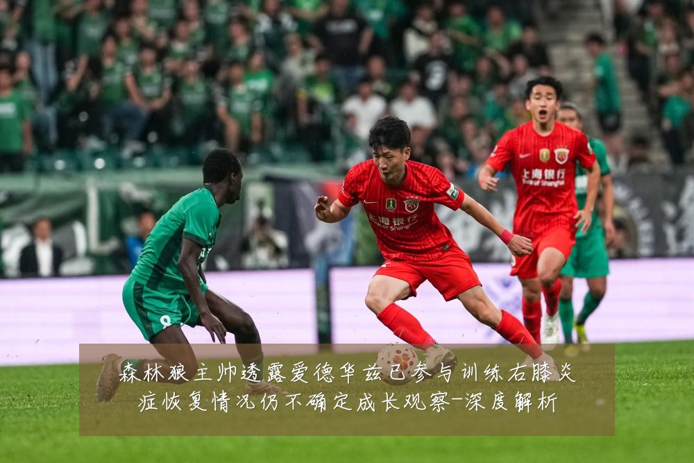 森林狼主帅透露爱德华兹已参与训练右膝炎症恢复情况仍不确定成长观察-深度解析